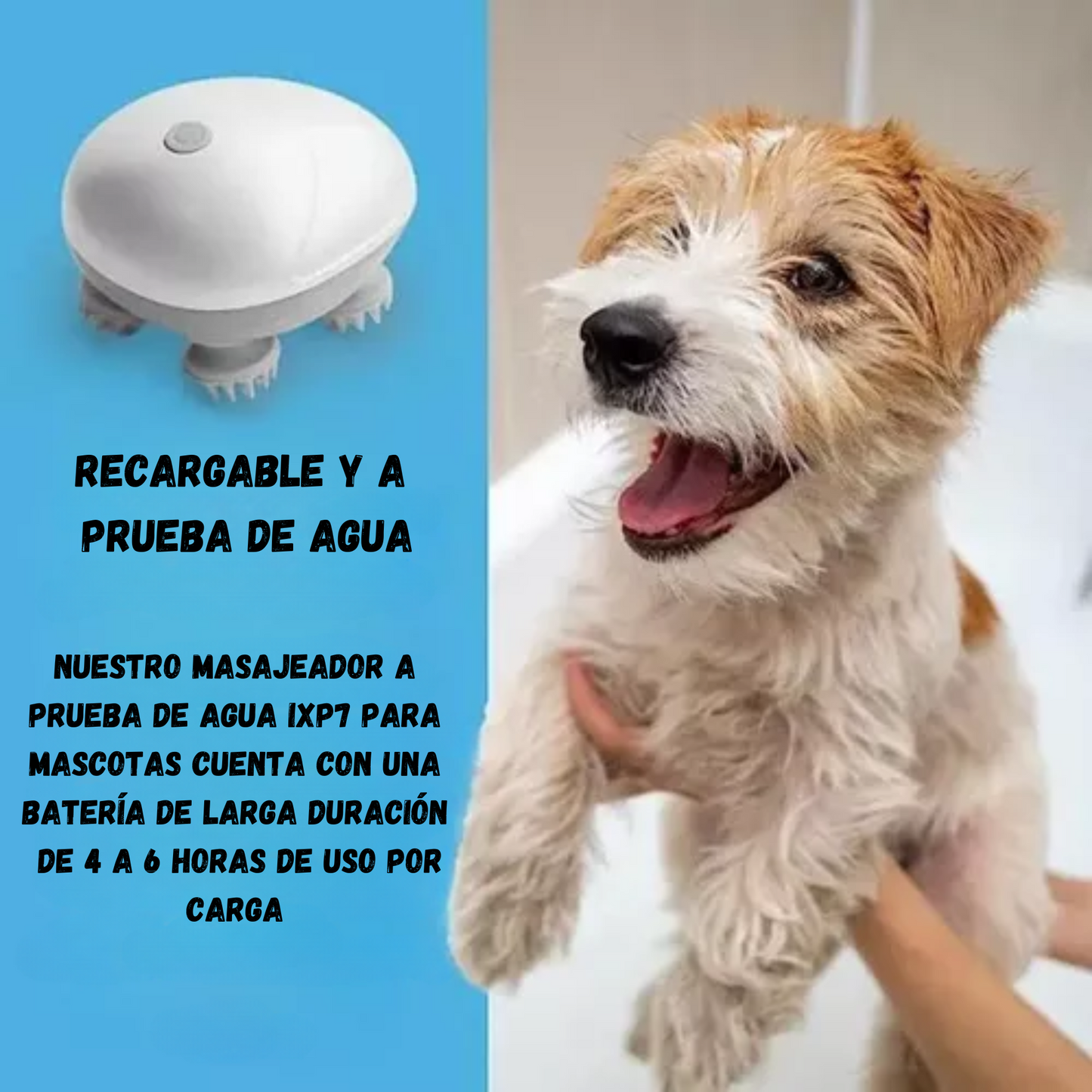 PetPal-Masajeador eléctrico para mascotas + Regalo Gratis!